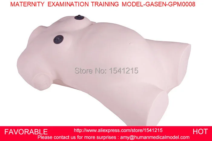 

MATERNITY SIMULATOR, MATERNAL /GRAVIDA/PREGNANT EXAMINATION MODEL,MATERNITY EXAMINATION TRAINING MODEL-GASEN-GPM0008