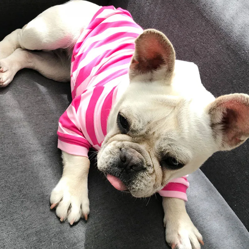 Одежда для маленьких собак летняя французская одежда для бульдога Толстовка для чихуахуа куртка для щенка для Мопс полосатый свитер костюм для собак - Цвет: Pink