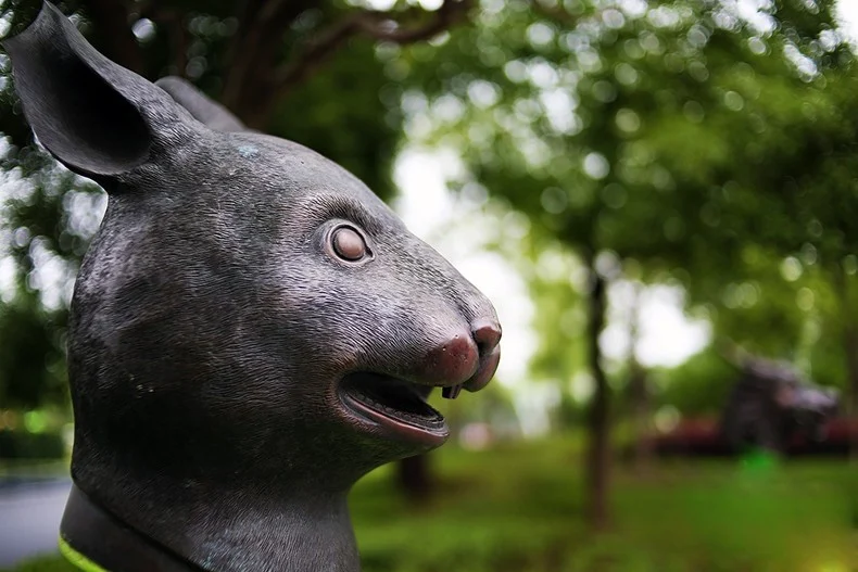 HTB1YzNZLXXXXXaVXVXXq6xXFXXXW