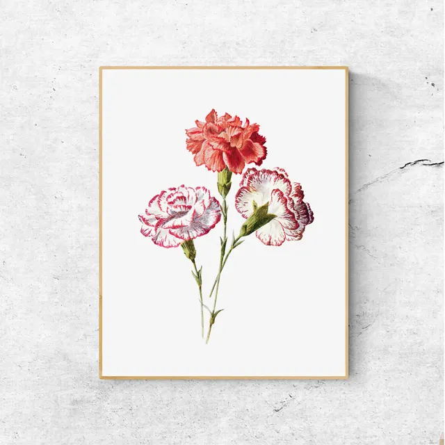Vintage Flower Carnation Botanical Print Watercolor Print Red Carnation ...