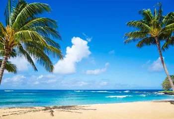

Beach Photography Backdrop, Wedding summer party stage Photo booth background, seaside with coconut tree studio photo background