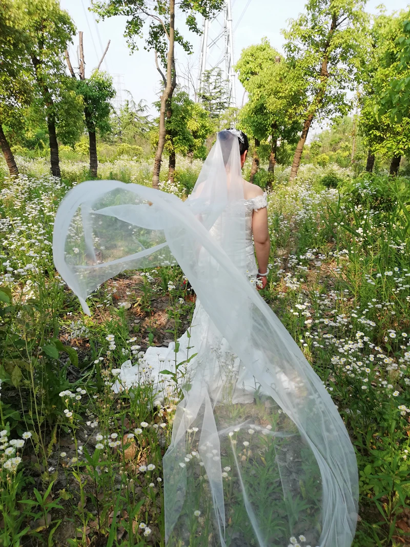 veils1