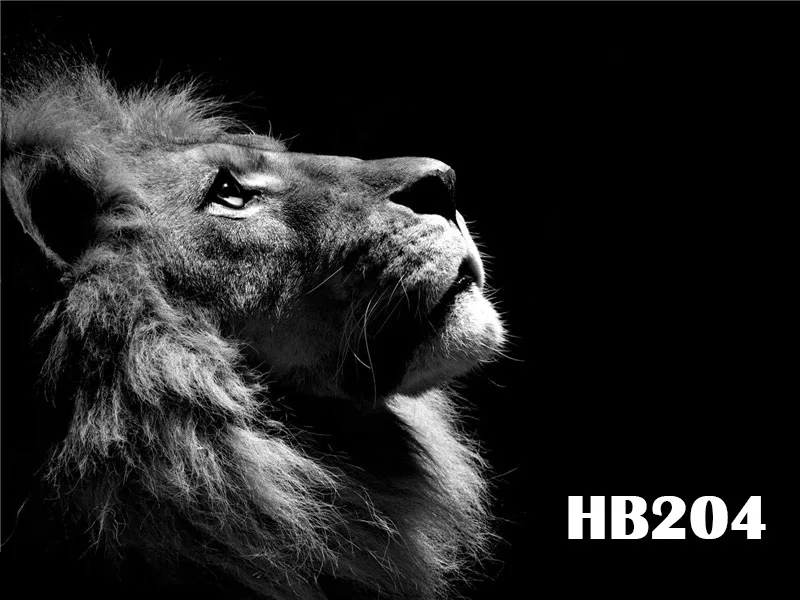 HB204