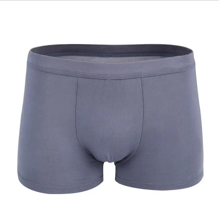 boxer (6)_