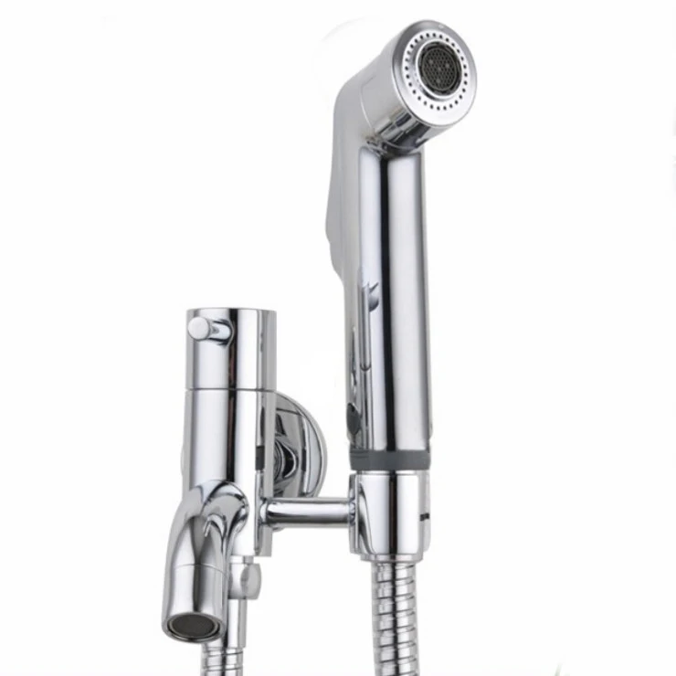 Two function ABS Chrome Handheld Bidet shower,Toilet Portable Bidet