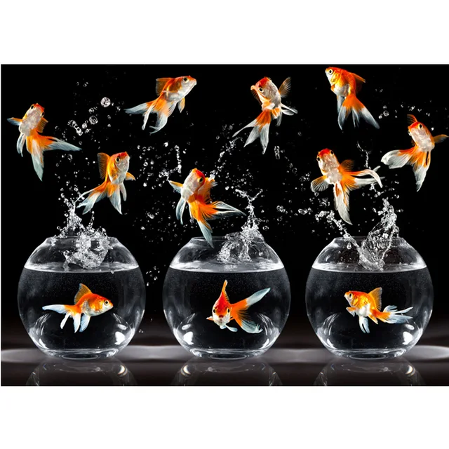 Kumpulan Gambar Dekoratif Ikan Hias HD Terbaru Kumpulan Gambar Dekoratif Ikan Hias HD Terbaru