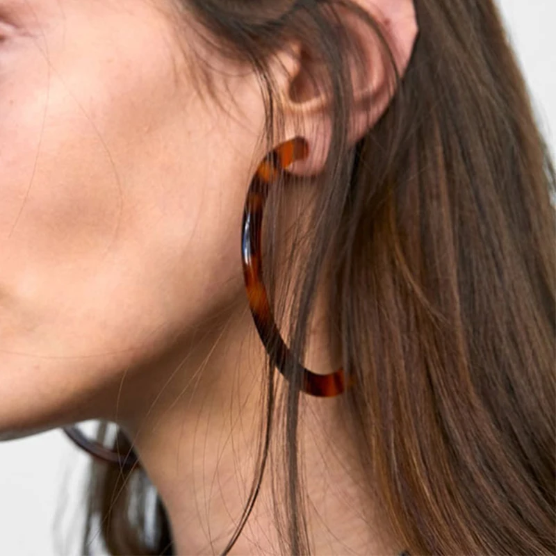 

2019 Statement Leopard Earrings Acrylic Stud Earrings For Women Geometry Big Circle Tortoiseshell Earrings Fashion ZA Jewelry