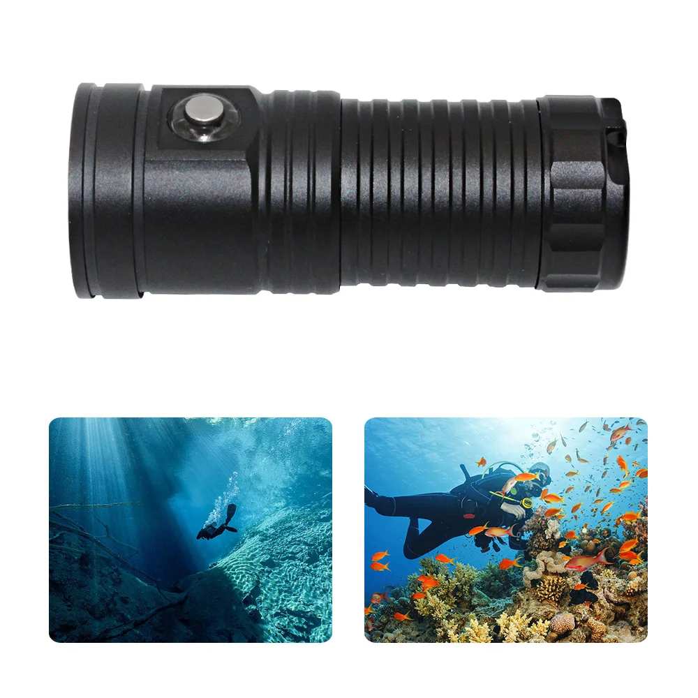 underwater video light (6)