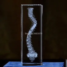 3D стереоскопический кристалл, внутренняя резьба, модель человеческого позвоночника для медицинских учебных принадлежностей или идеальный подарок 50x50x80 мм