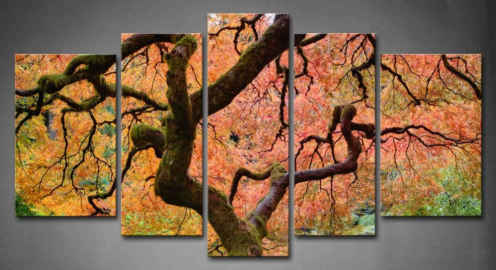 

Framed Wall Art Pictures Maple Tree Leaf Fall Canvas Print Artwork Botanical Posters With Wooden Frames For Living Room