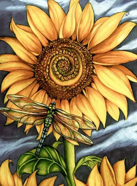Aliexpress.com : Buy Full,Diamond Painting,Dragonfly,Diamond Embroidery