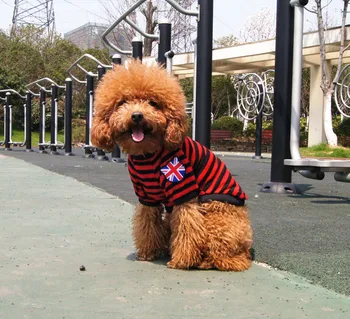 

2017 new pet clothes spring puppy shirt pet clothing dog clothes flags stock