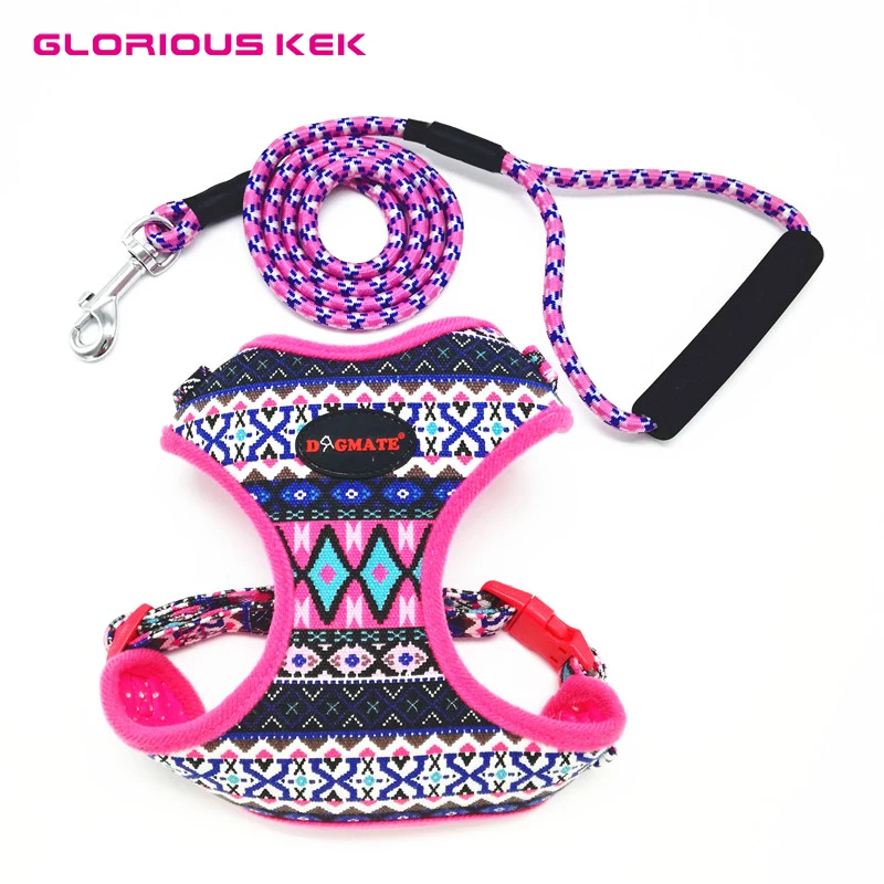 

GLORIOUS KEK Dog Harness Small Pet Dog Harness and Leash Set Soft Printed Chihuahua Yorkie Harness Vest Adjustable Puppy Vest S