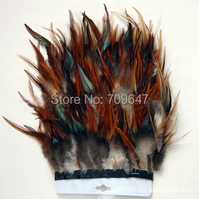 FCT0193 (1)