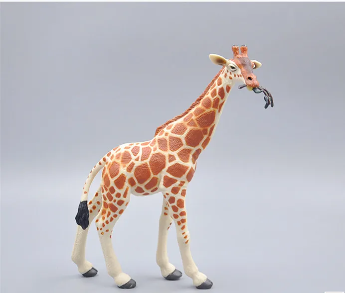 SAFARI 4_