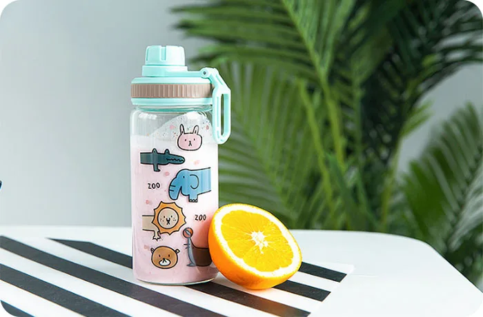 Cute Glass Water Bottle (16)