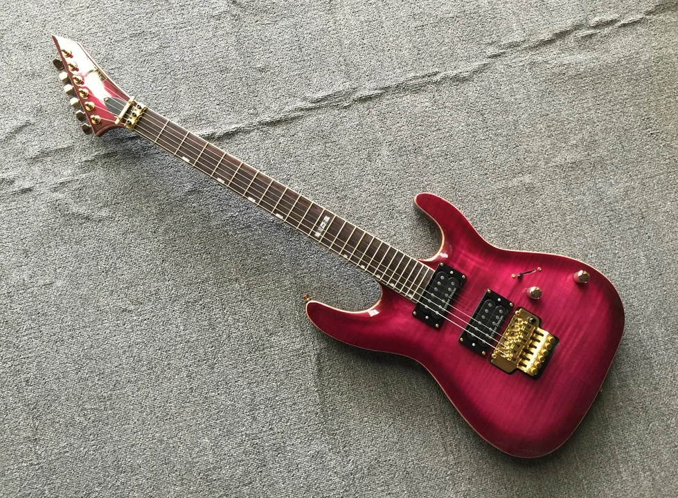 

Factory customization 6 Strings Electric Guitar FR Tremolo bridge