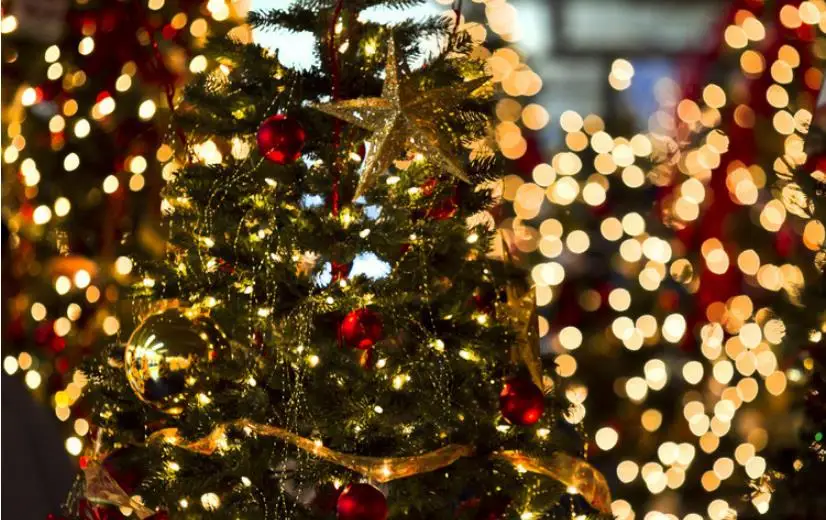 Solares do Jardim ao ar Azul Verde Amarelo Branco Multicolor Natal Solar Led Luzes Cordas 200 Leds Lâmpadas Garland Livre 5 LED Luzes Cordas 200 LEDs Lâmpadas Garland