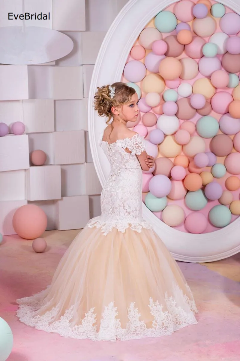 3586564274_945221150