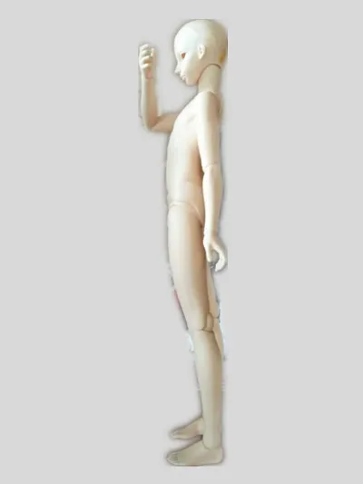 3 bjd single body