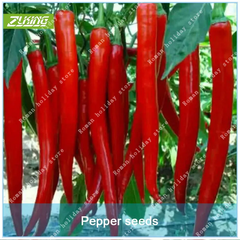 

100pcs Red Organic Fresh Pepper Bonsai Chinese Easy Grow Vegetable Herbaceous Perennial Plants Home Garden