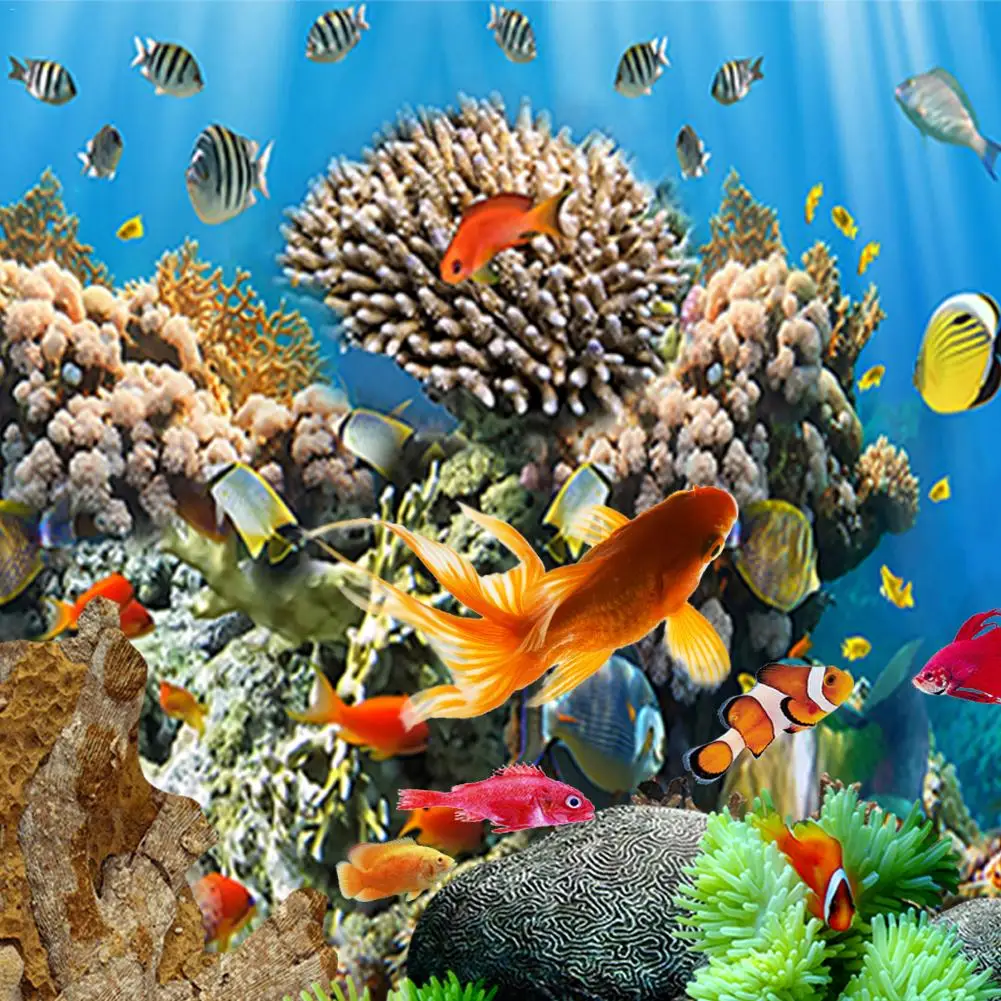 Single sided Digital Printing Aquarium Fish Tank Background Decorative