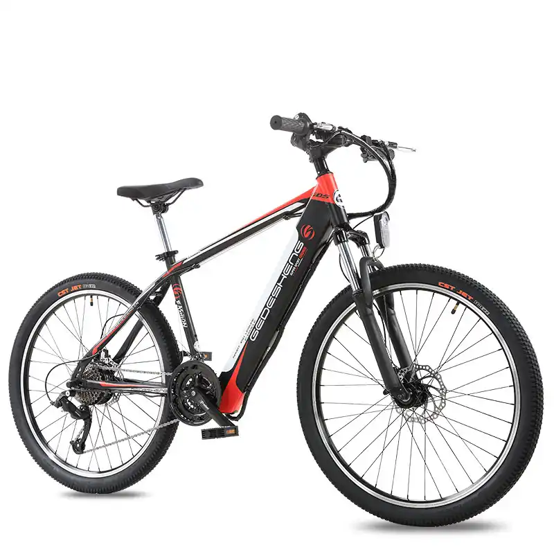 hidden electric bike motor