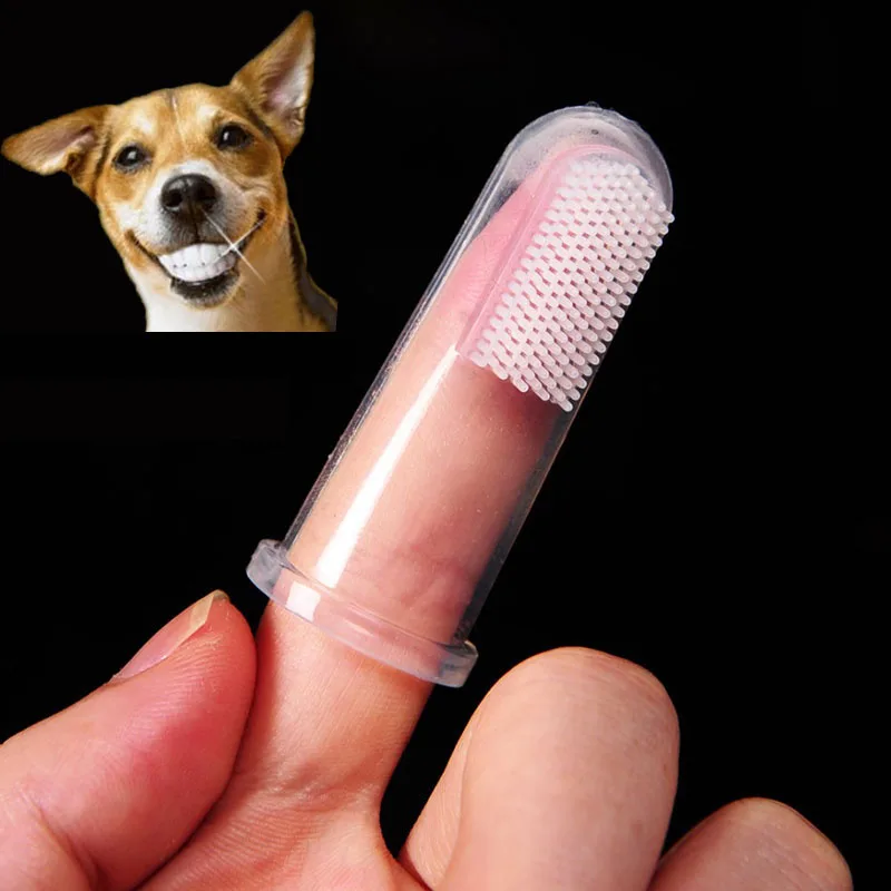 HTB1MZAaiyQnBKNjSZFmq6AApVXaf