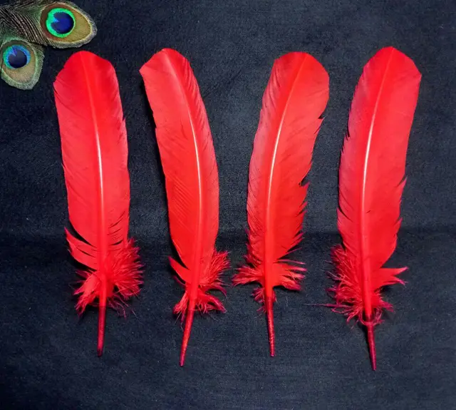 50pcs beautiful turkey feathers,27 33cm DIY art craftsin Feather from