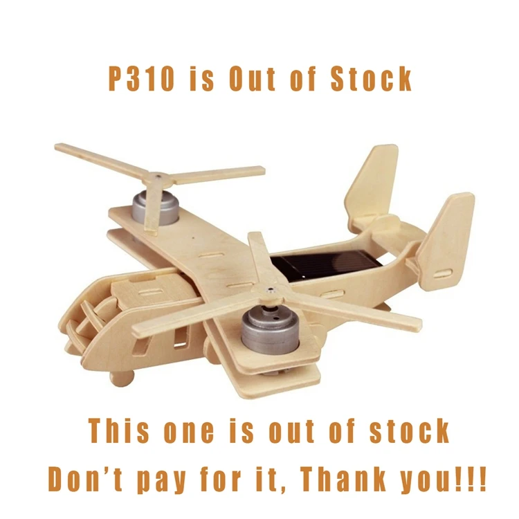 P310_1