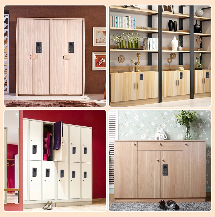 Biometric Fingerprint Electric Keyless Keypad Cabinet Lock-10