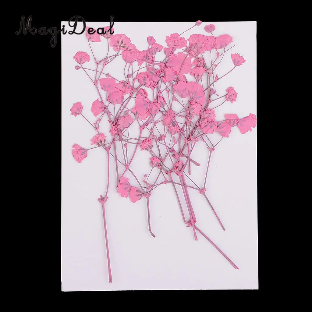 10 / 20Pcs Beautiful Real Pressed Rose Petal Babysbreath Flowers Dried Flowers for Art Craft Scrapbooking DIY Resin Jewelry