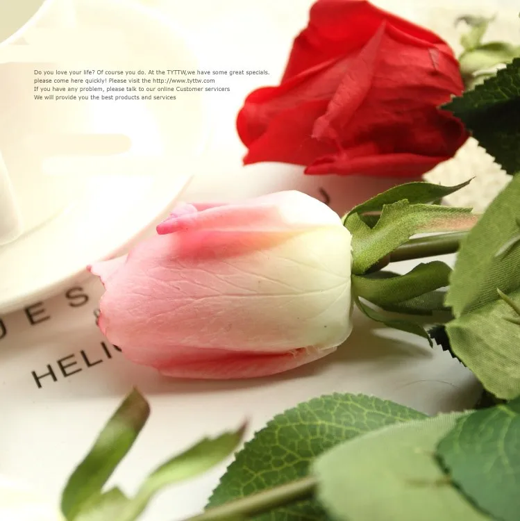 T2RUiEXctbXXXXXXXX_!!22432034