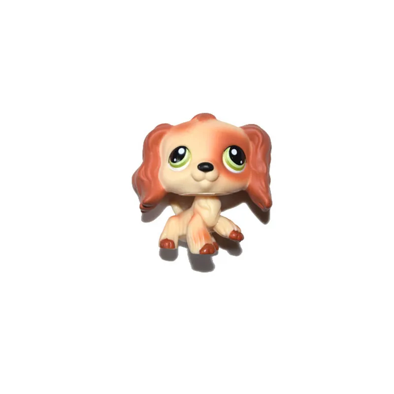 RedBrownTanDog