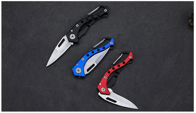 Small Folding Knife with Keychain Stainless Steel Outdoor Camping Hiking Hunting Gadget Knifes Mutifunction Fruit Knife Portable