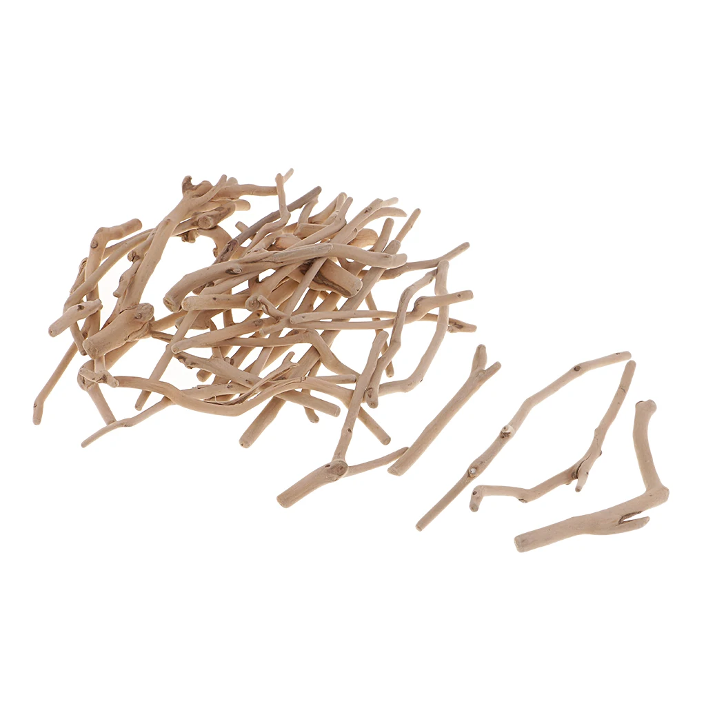  375g Driftwood Northumbrian Coastline Display Arts and Craft DIY Woodworking Projects Rustic Weddin