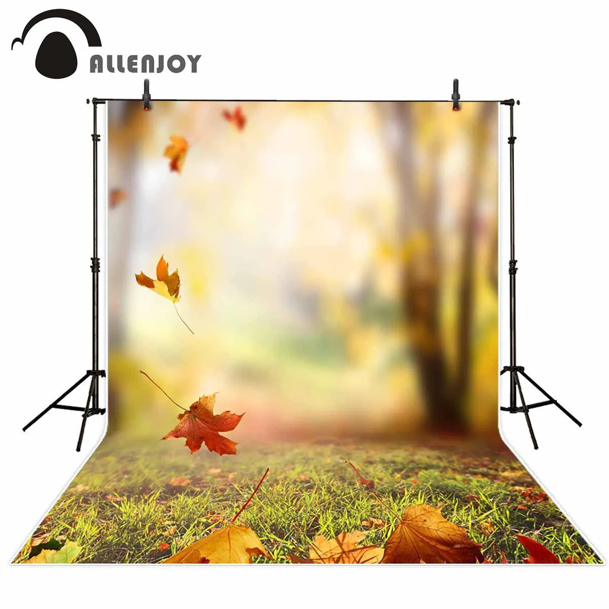 Allenjoy Professional Photography Background Blur Bokeh Autumn Falling  Leaves Backdrop Photo Studio Real Scene Photocall - Backgrounds - AliExpress