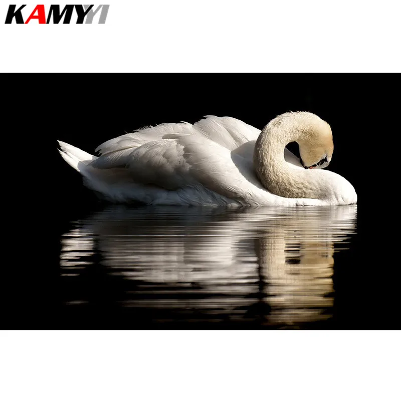 swan-3466606_960_720