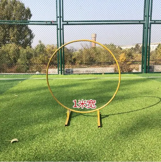 Бутафория для свадебной фотосессии на большой железный круг с аркой один Рычажная арка цветок портал задние фоны газон, свадьба, цветы, дверная полка