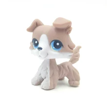 rare Animal font b pet b font shop lps toys collie 67 littlest grey white dog