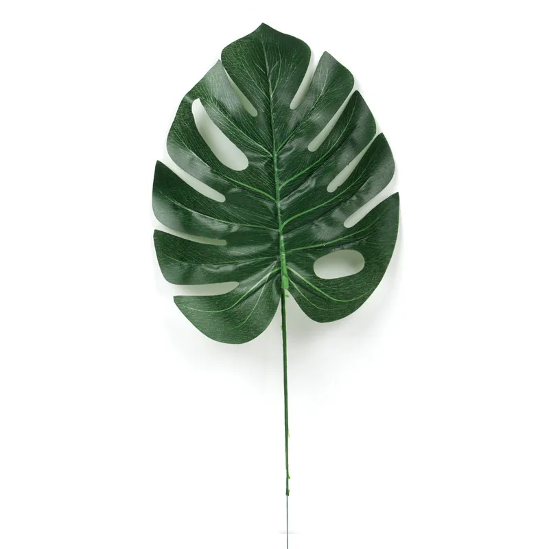 10448637630_1303492556