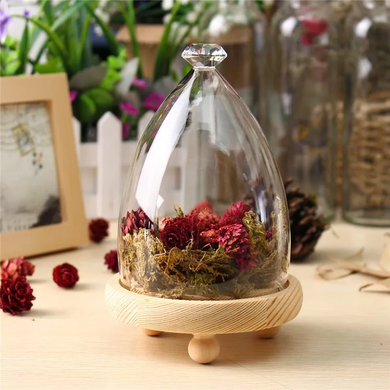 KiWarm красивый стеклянный дисплей Клош колокольчик купольная ваза для цветов с сохранением, деревянная основа, украшение для дома