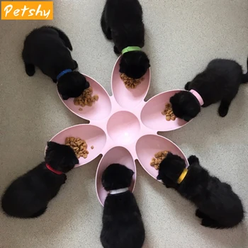 

Petshy 6 in 1 Pet Dog Feeding Bowls Petal Shape Puppy Cats Water Food Feeder Bowls Plastic Fashion Animal Dogs Feeding Dishes