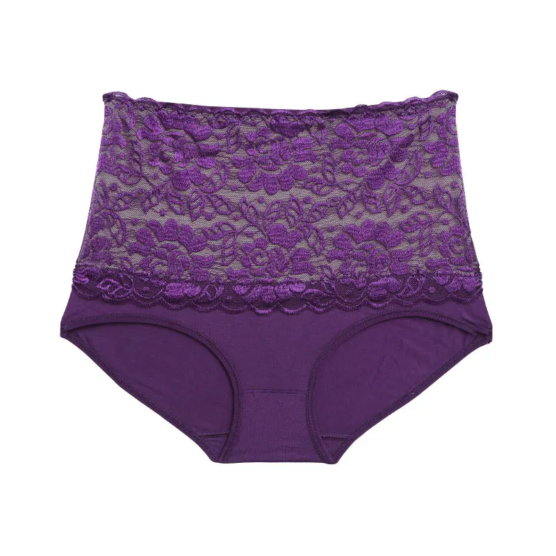 Wealurre Seamless Modal High Waist Panties Plus Size Body Shaper Briefs Soft Lingerie Ice Silk Lace Floral Underwear Women