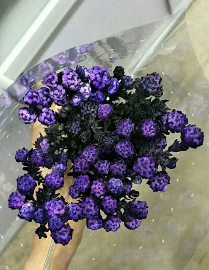 -4