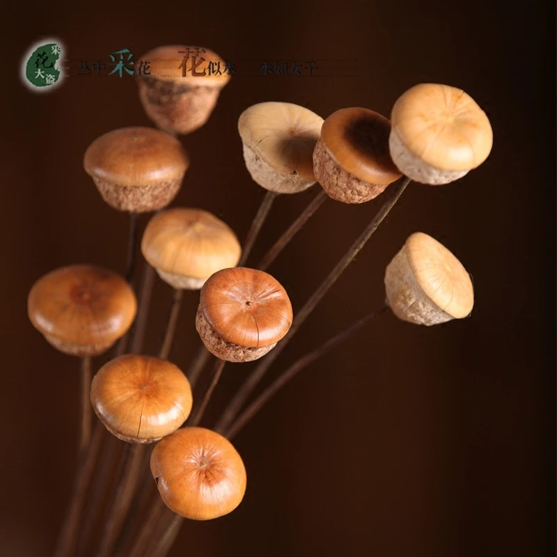 

5pcs 55cm natural handmade dried flowers floral art home decoration flor shooting props original ecological bouquet flores secas