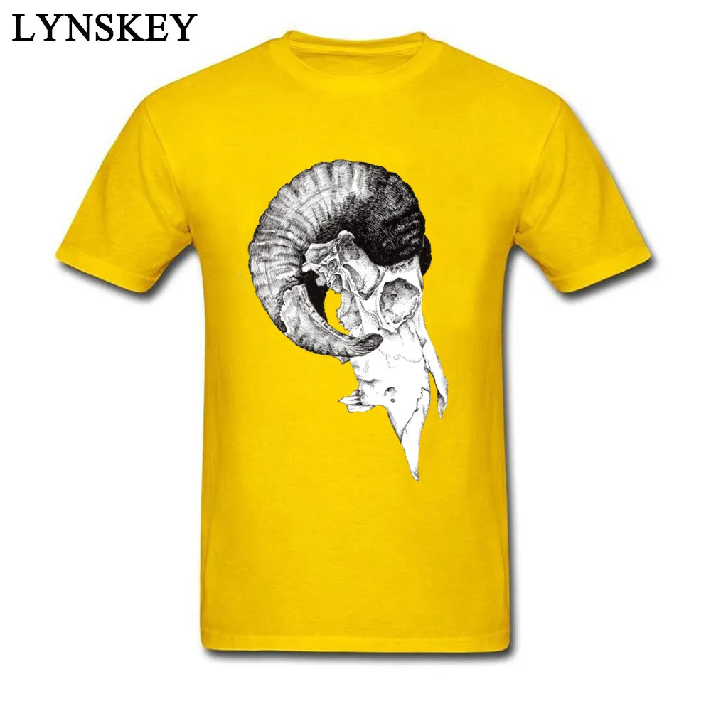 Ram Skull study_yellow