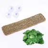 Pet Products
