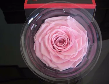 

8-9cm Pink Preserved Rose Flowers with Box For Wedding Party Birthday Valentine's Day Gift Favors
