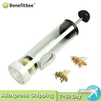 

Benefitbee 2PCS Queen Marker Catch Tube Queen Bee Marking Cages Best Bee Beekeeping Tools Apicultura Equipment European Style
